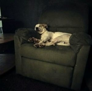 Meet your Posher, Kevin